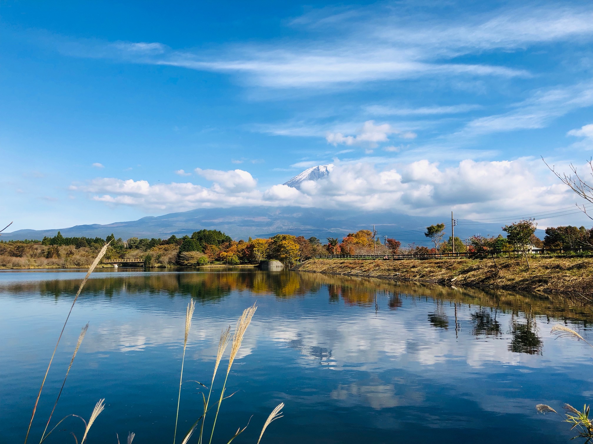富士山を見る絶景ポイントはどこ 田貫湖は富士山を見る絶景ポイント 大人ism