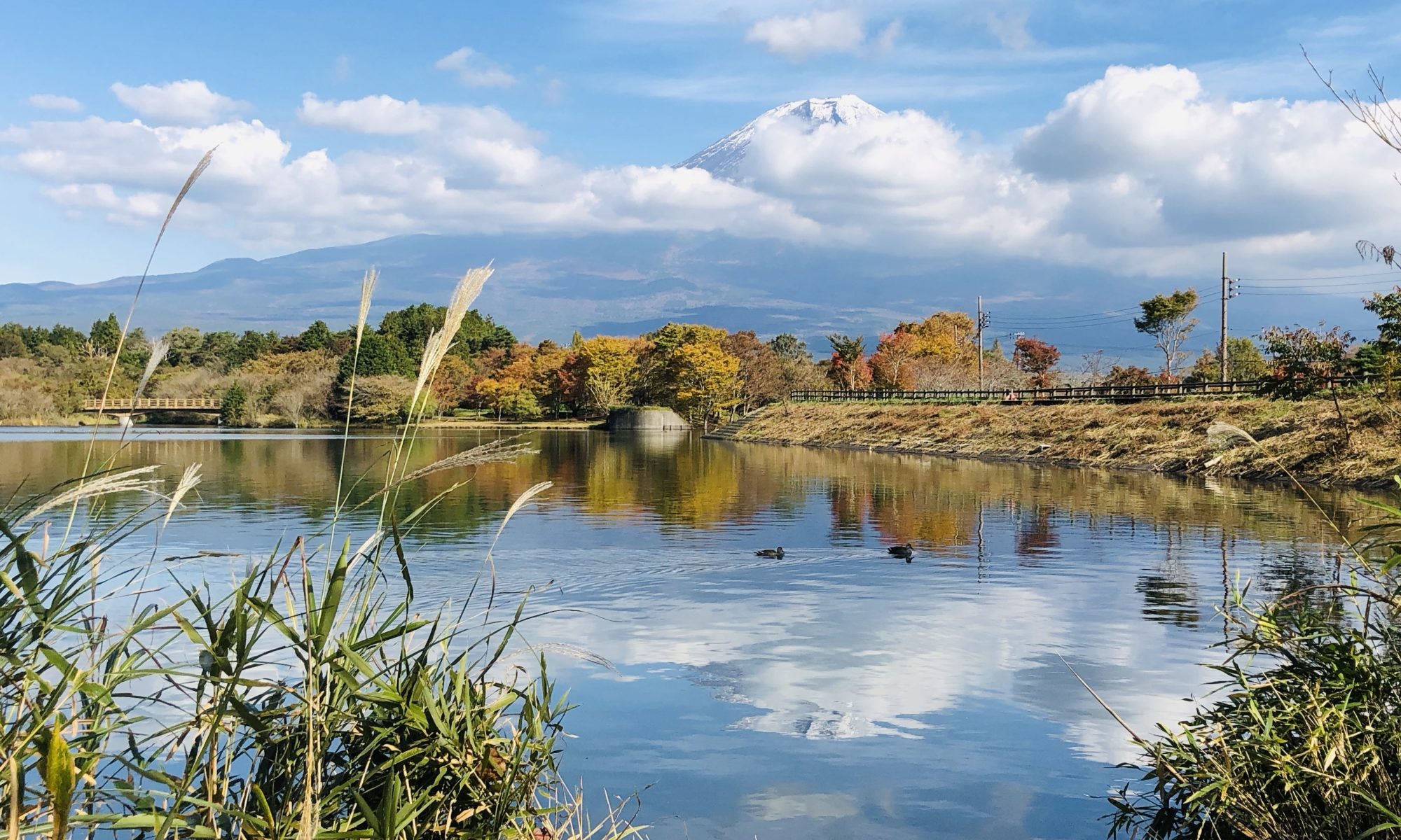 富士山を見る絶景ポイントはどこ 田貫湖は富士山を見る絶景ポイント 大人ism