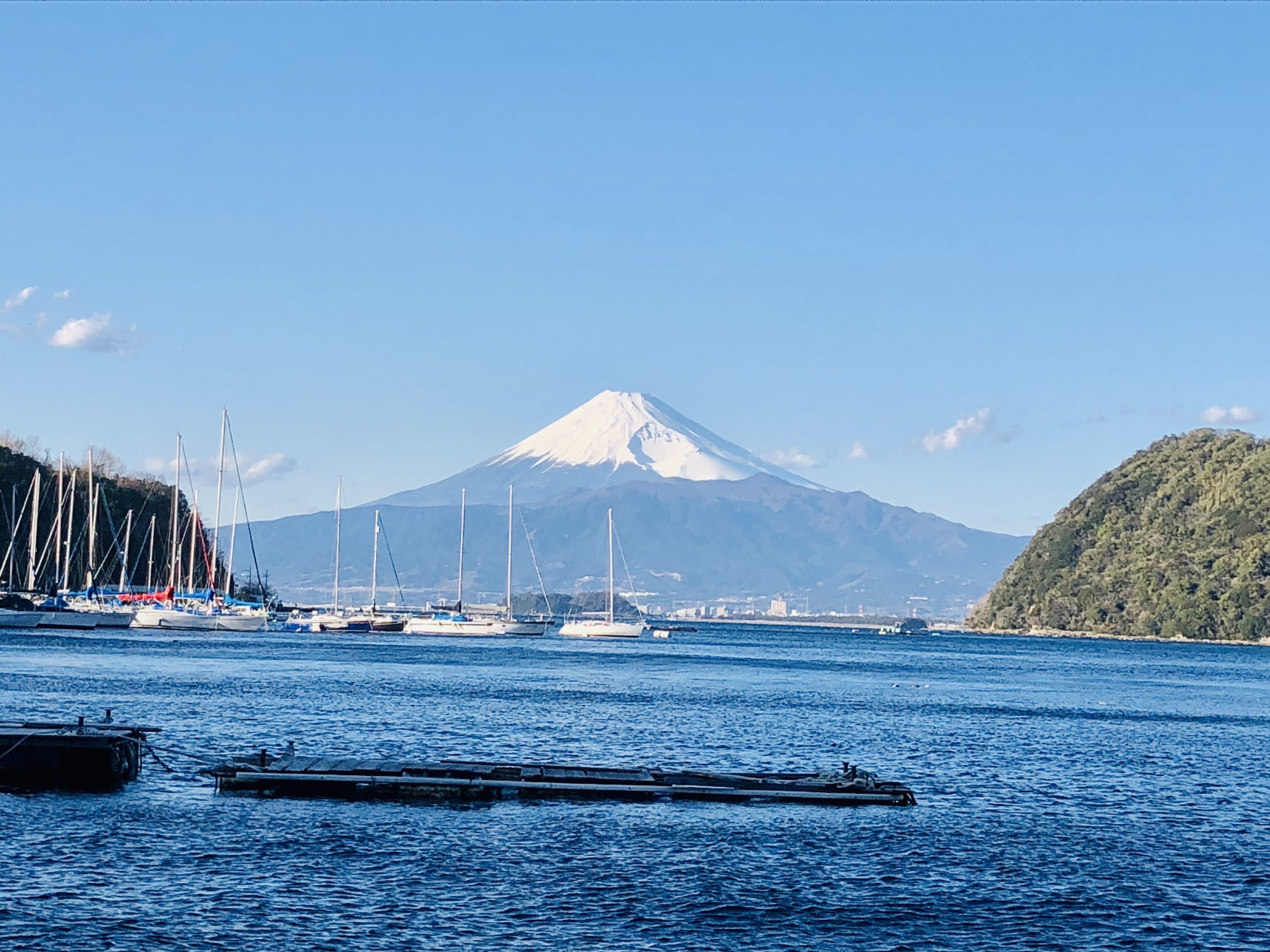 沼津港の海鮮丼ランチからの海辺のドライブ！おすすめのデートコース
